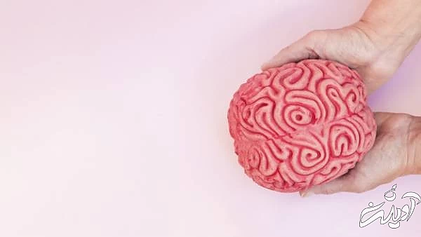 شیشه چه تاثیری روی مغز می گذارد؟ شیشه مغز